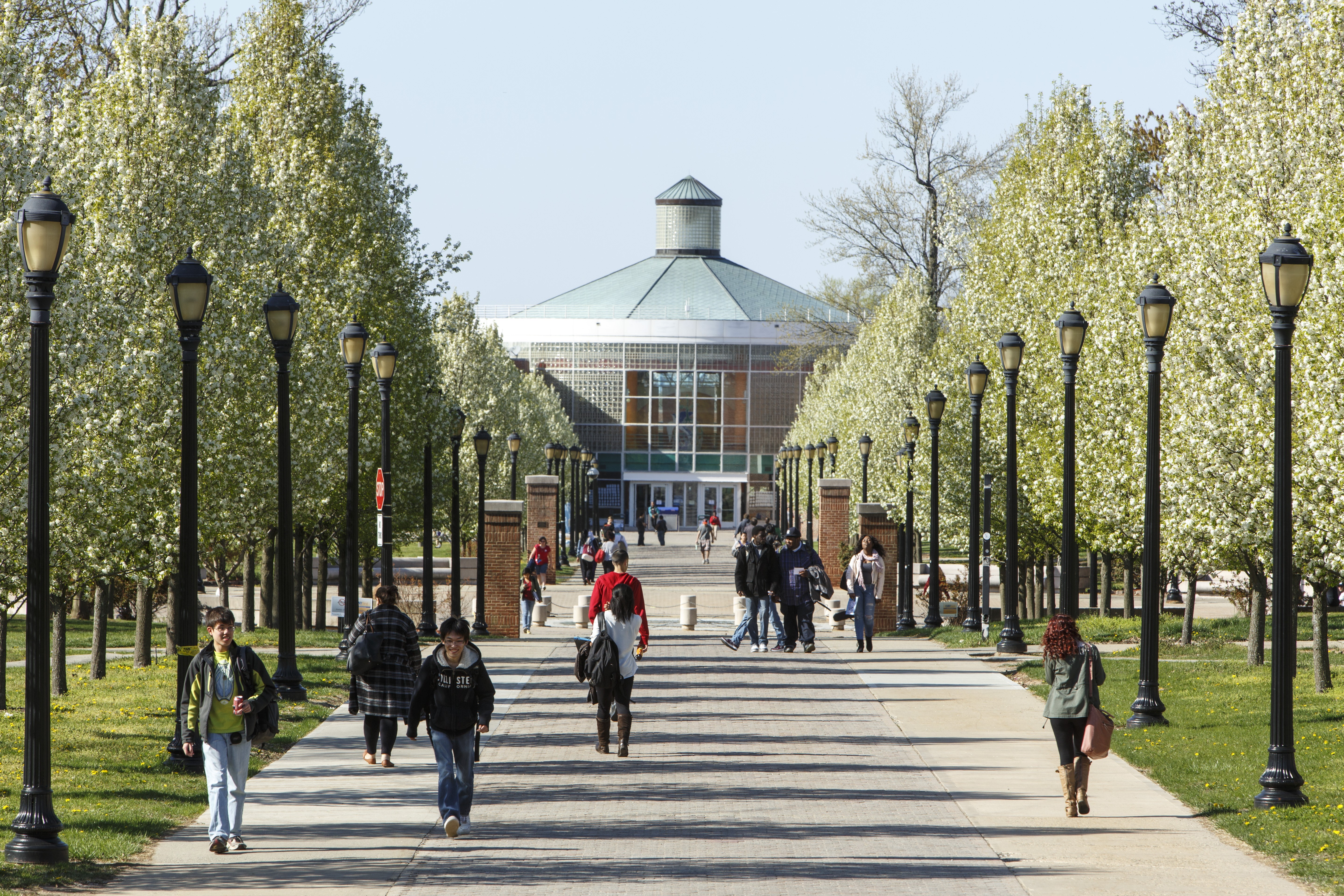 College of Staten